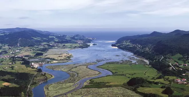 Ecologismo de emergencia - Euskadi, el medio ambiente no espera