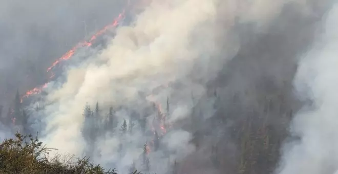 Uno de los 19 incendios forestales ha afectado al camping de Sopeña quemando una zona de almacenaje y vehículos