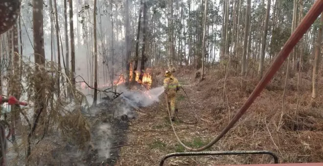 Provocados 17 incendios forestales en las últimas 24 horas en Cantabria