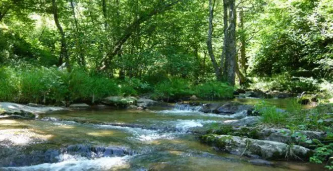 Cerca de 900 voluntarios del Proyecto Ríos inspeccionaron 76 tramos fluviales en Cantabria durante 2023