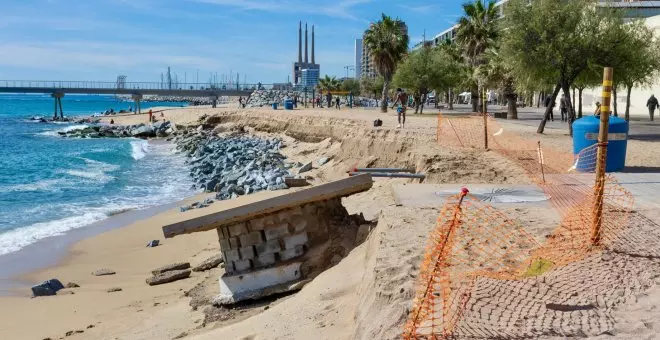 Solucions naturals per fer front als impactes del canvi climàtic i restaurar la fràgil costa catalana