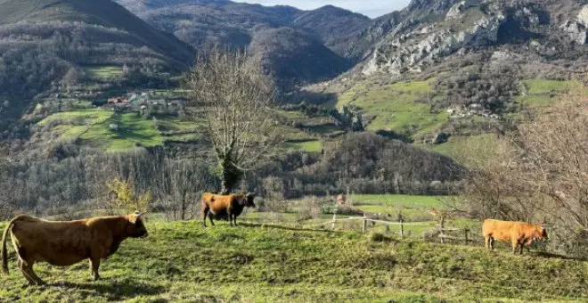 "El agronegocio quiere un campo sin ganaderos"