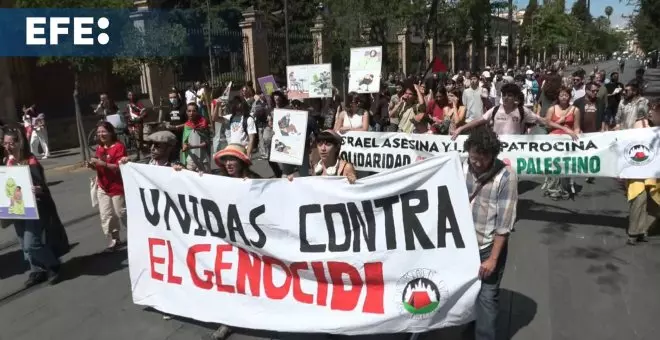 Una manifestación reclama en Sevilla la ruptura de relaciones universitarias con Israel