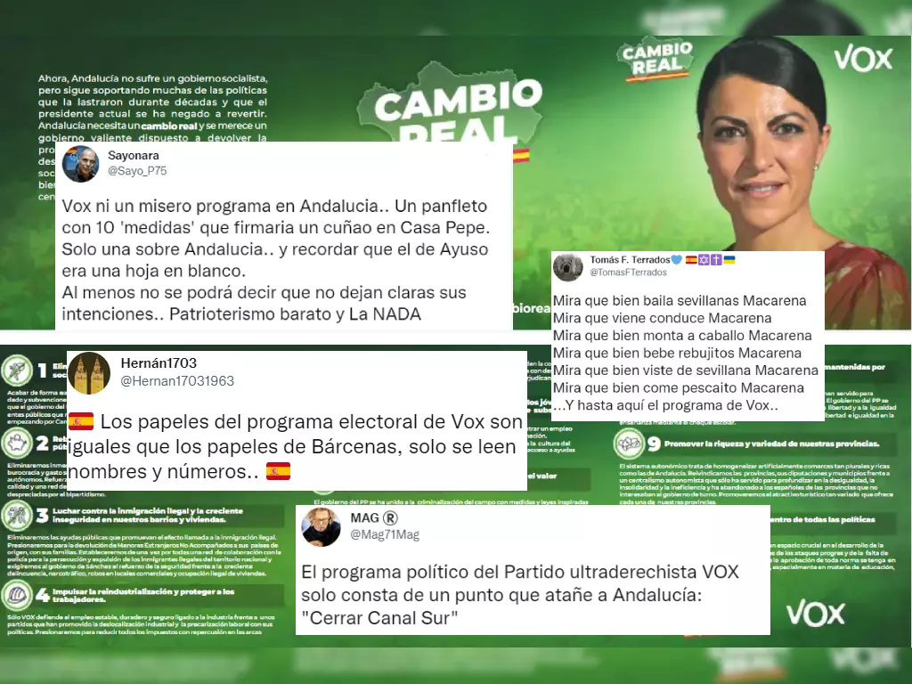 Las reacciones al  programa electoral  de Vox en Andalucía:  Una oda al populismo y un insulto a la inteligencia 