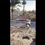Un tanque israelí se dispone a destrozar un monumento en el que pone 'I love Gaza' en Rafah. -X