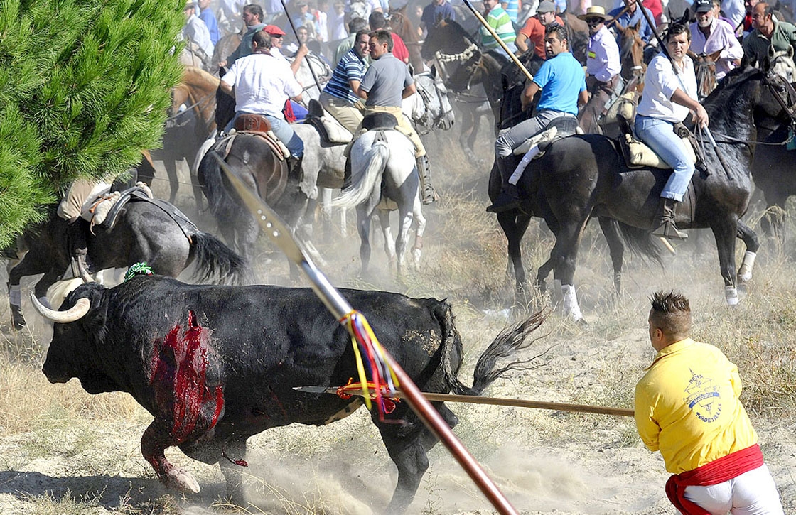 ay andaluces aki? - Página 6 55af6a70a7514