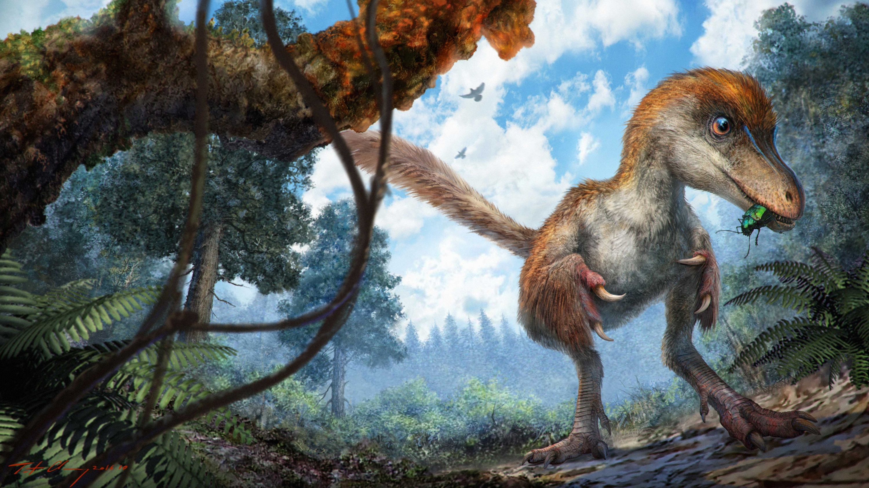 Halladas las primeras plumas de dinosaurio en un trozo de ámbar | Público