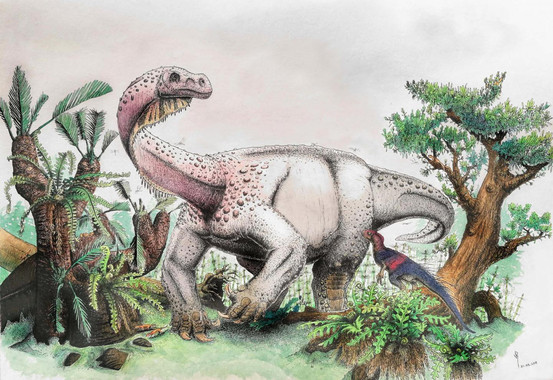 Paleontología: Un nuevo dinosaurio gigante del Jurásico en Sudáfrica |  Público