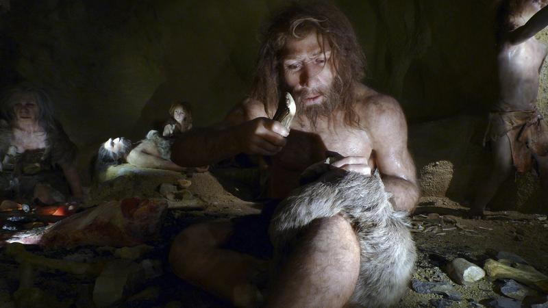 Paleolítico Superior: Los neandertales no llevaban una vida más violenta  que los humanos modernos | Público
