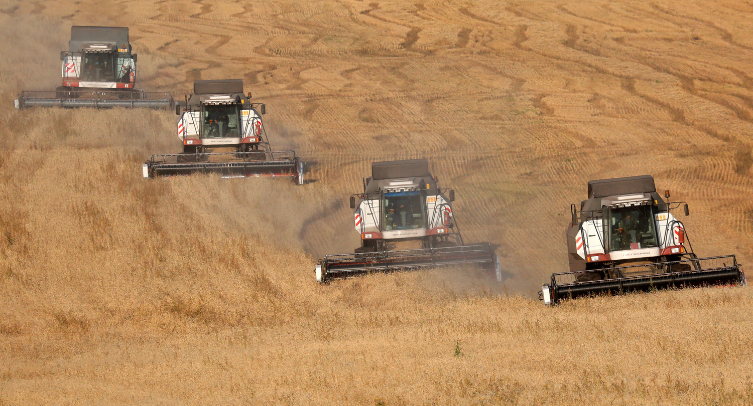 Сколько комбайн убирает за час. Комбайн убирает пшеницу. Сбор зерна в Монголии. Есть ли техника для пшеницы в Россия. Экспортная цена на пшеницу 2003.
