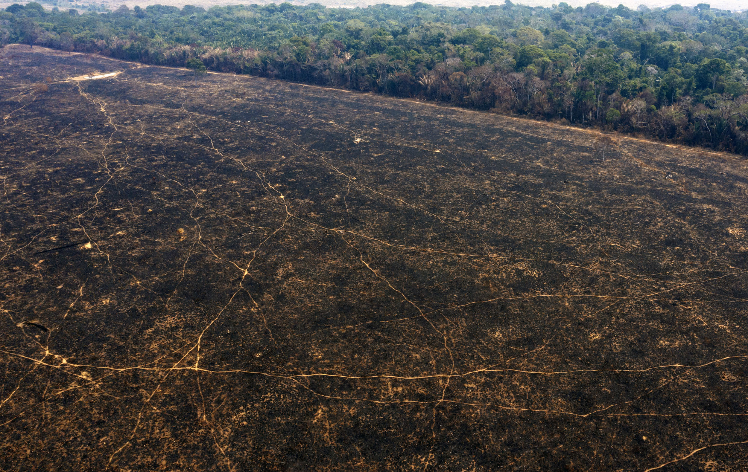 Incendios Brasil Lo Que Se Esconde Tras Los Incendios De La