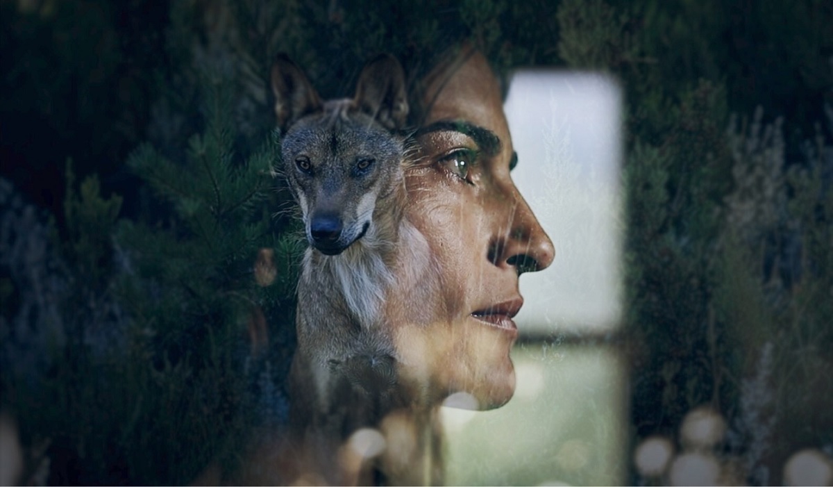 En Tierra de todos', el documental que da voz a los pastores y pone en  valor la coexistencia con el lobo | Público