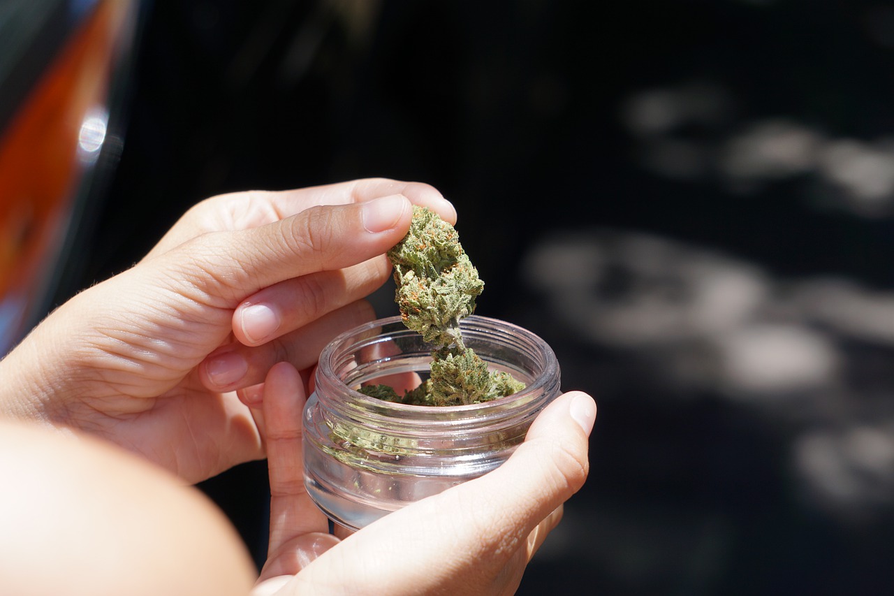 Malta legaliza el consumo y el cultivo de cannabis con fines recreativos |  Público