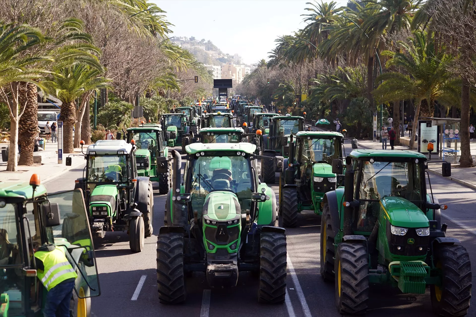 Cientos de agricultores se concentran a finales de febrero como protesta en el paseo del Parque de Málaga. — Álex Zea / Europa press