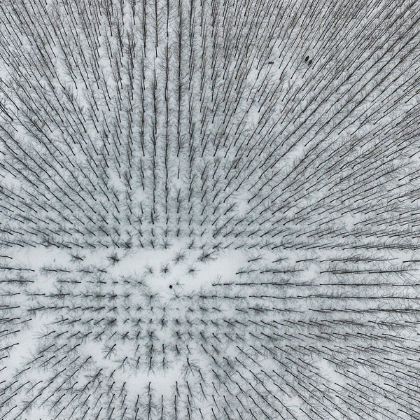 Un campo chino cubierto de nieve. Xi'an, provincia de Shaanxi. REUTERS/Stringer