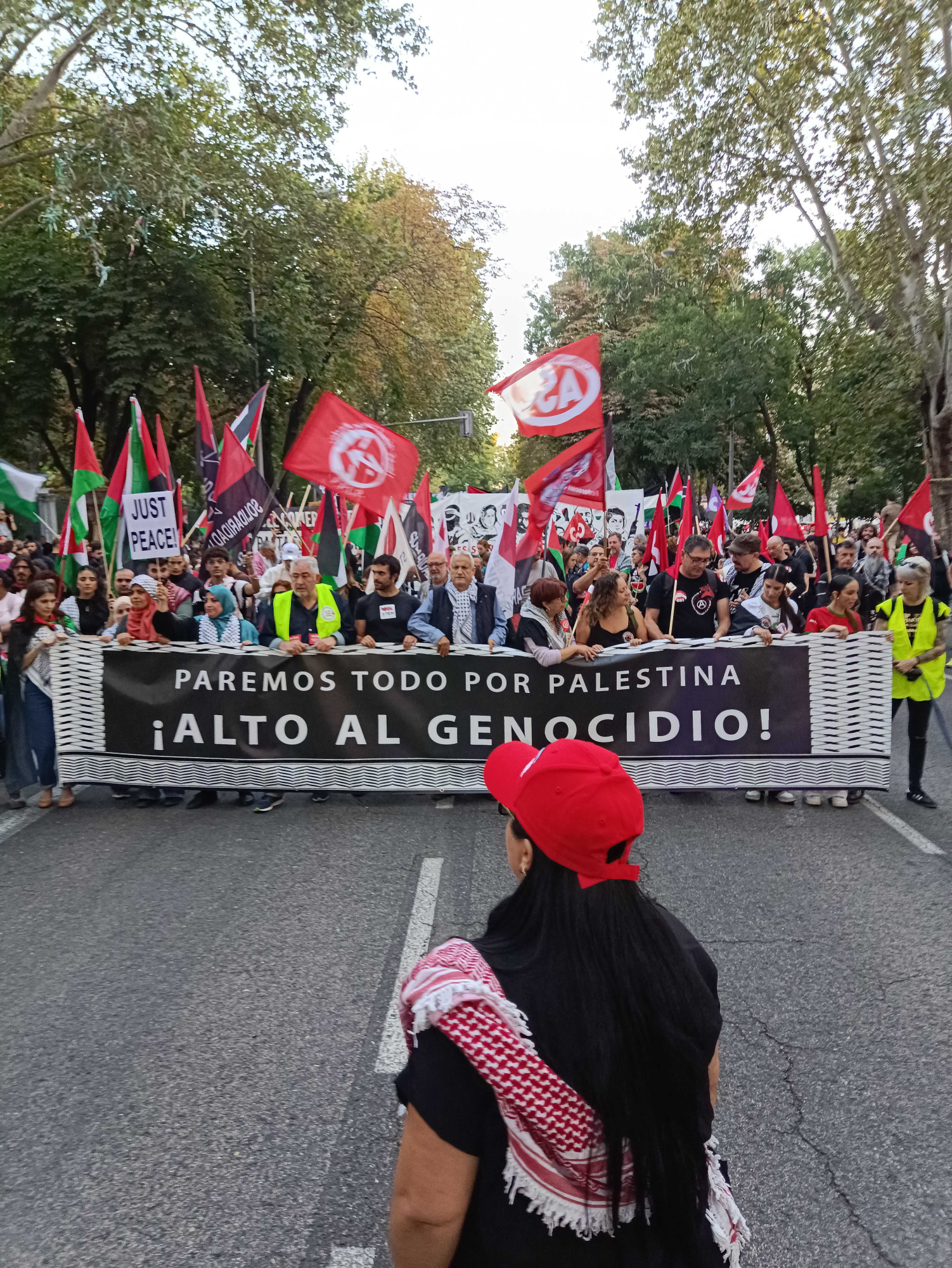La manifestacion en apoyo a Gaza en Madrid