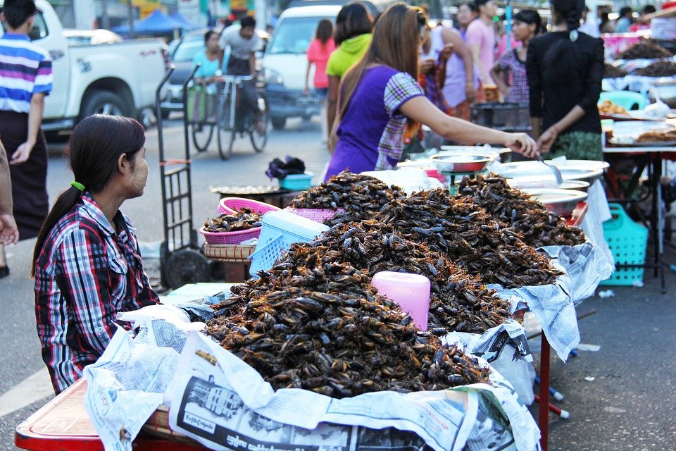 8 comidas típicas que incluyen insectos