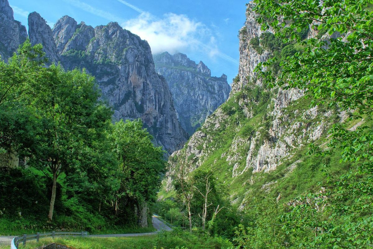 Picos de Europa