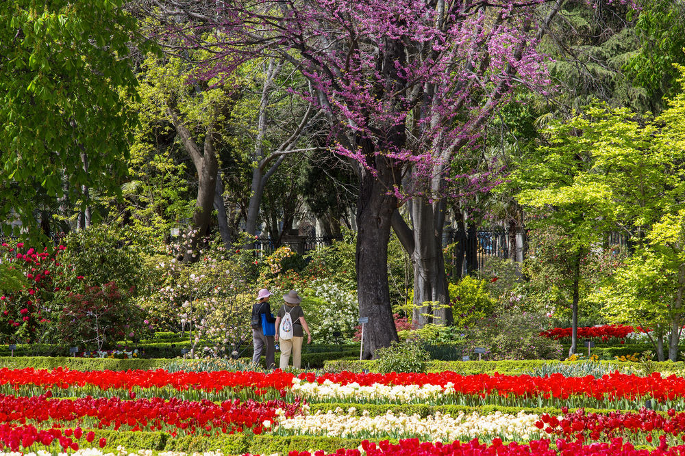 Real Jardín Botánico de Madrid